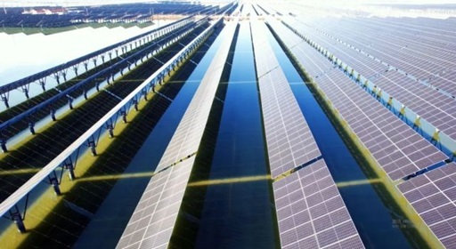 山東?；胶忭?xiàng)目